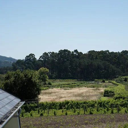 Cardalda וילאנואבה דה ארוסה